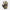 PIG Alpha Full Dexterity Tactical Gloves - Gen 2