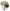 Tactical Bump Helmet (Non Ballistic) by Chase Tactical