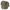 Chase Tactical Genesis Deltoid Protection Attachment
