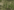 A-TACS-FG Tactical Bump Helmet