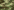 Digital Woodland Tactical Bump Helmet