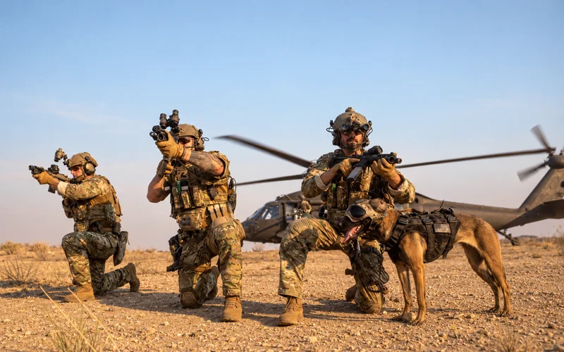 Tactical Standard Firearms Use In Operations
