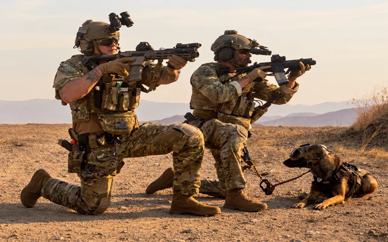Tactical And Conventional Firearms